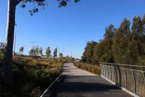 2025-06-21 Bartons Park - IMG_2470_compressed_q50.webp